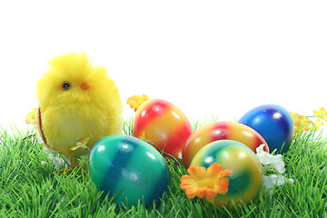 Image showing Easter eggs and chicks in a meadow