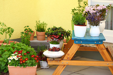 Image showing Terrace or roof gardening