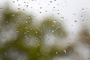 Image showing Rainy Window Pane