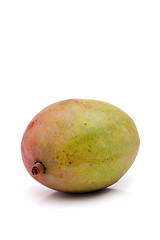 Image showing Fresh Mango Fruit