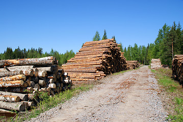 Image showing Timber Logs By Forest Road