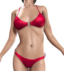 Image showing Sexy Bikini Torso