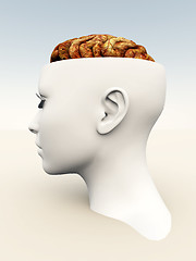 Image showing Open Top Anatomical Head 