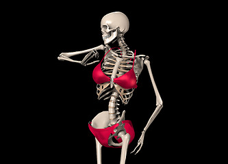 Image showing Skeleton In A Bikini 