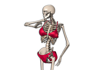 Image showing Skeleton In A Bikini 