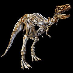 Image showing Skeleton T-Rex