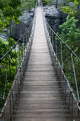 Image showing Footbridge