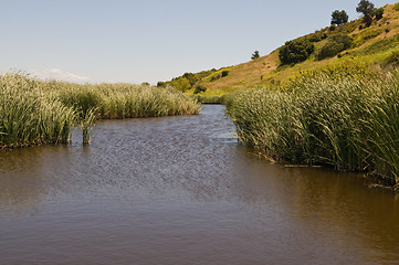 Image showing Marsh