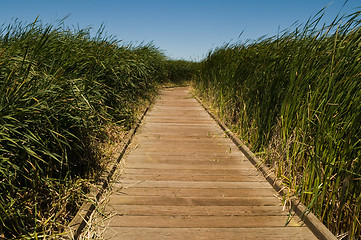 Image showing Boardwalk