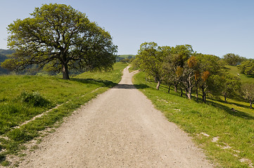 Image showing Trail