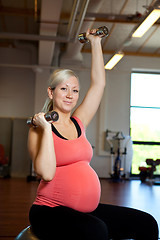 Image showing Pregnant woman exercising with weights