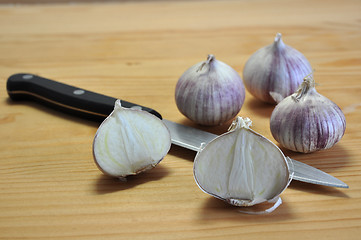 Image showing Elephant Garlic on cutting board