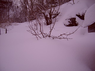 Image showing snøstemning