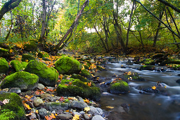 Image showing River with mossy stones