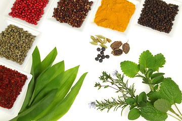 Image showing Herbs and spices