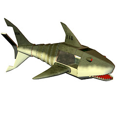 Image showing Shark