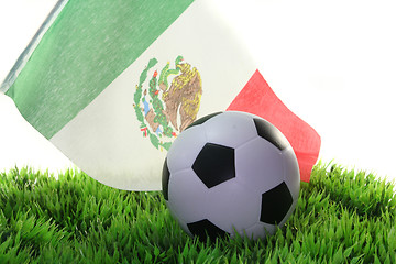 Image showing World Cup 2010