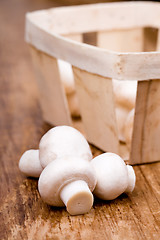 Image showing fresh champignon