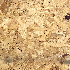 Image showing Wood