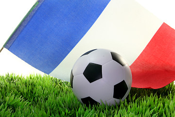 Image showing Soccer World Cup 2010