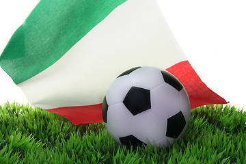 Image showing Soccer World Cup 2010