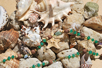 Image showing few seashells