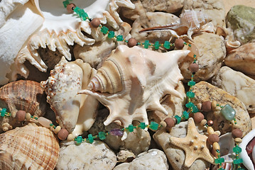 Image showing few seashells