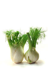 Image showing Fennel