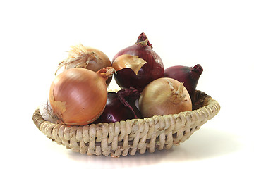 Image showing onions