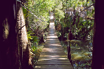 Image showing entry to walking bridge in tropical forest