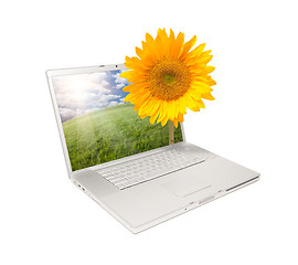 Image showing Silver Computer Laptop Isolated with Sunflower