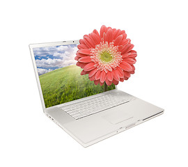 Image showing Silver Computer Laptop Isolated with Gerber Daisy