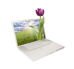 Image showing Silver Computer Laptop Isolated with Tulip