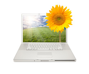 Image showing Silver Computer Laptop Isolated with Sunflower