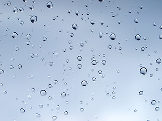 Image showing Rain droplets