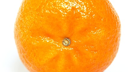 Image showing Tangerine