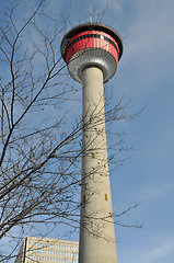 Image showing Calgary Tower