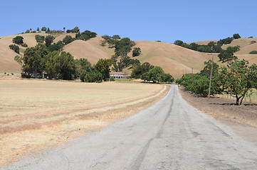 Image showing Driveway