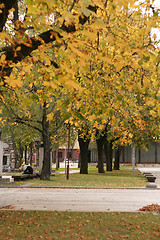 Image showing Autumn in the City