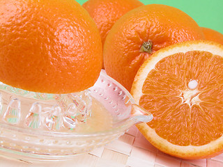 Image showing orange squeezer