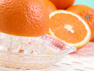 Image showing orange squeezer