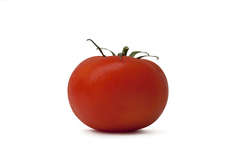 Image showing Isolated tomato