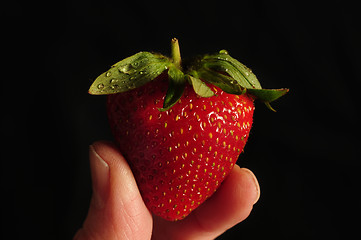 Image showing Single strawberry held between two fingers