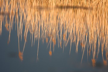 Image showing Lakeside