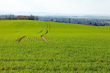 Image showing Agriculture