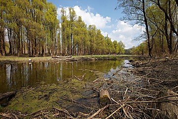 Image showing Riverside