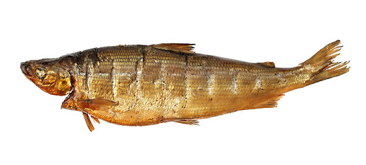 Image showing Smoked whitefish
