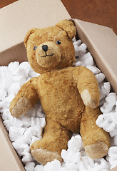 Image showing Teddy bear transport