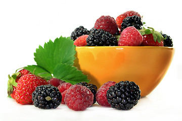 Image showing Berries