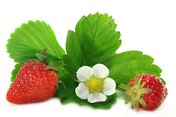 Image showing Strawberries